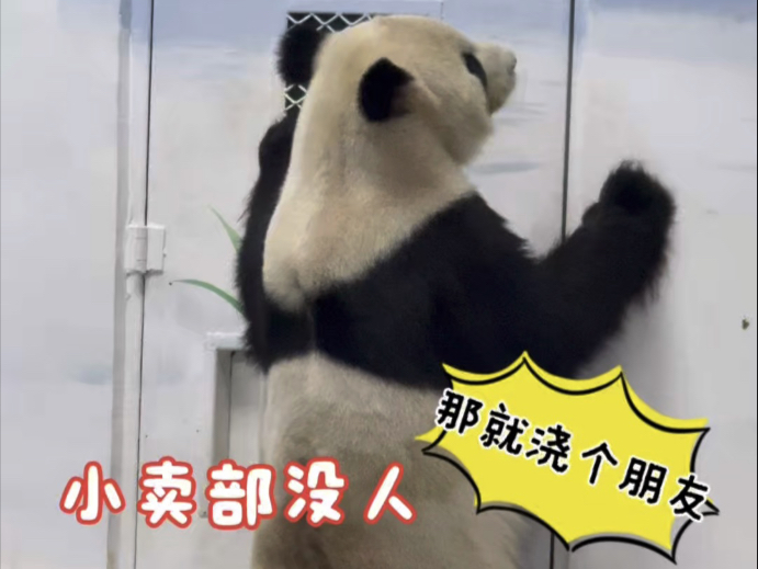 小卖部没人，那就浇个朋友吧