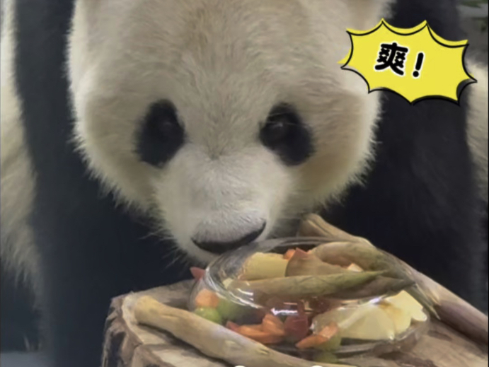渝大宝的冰镇下午茶