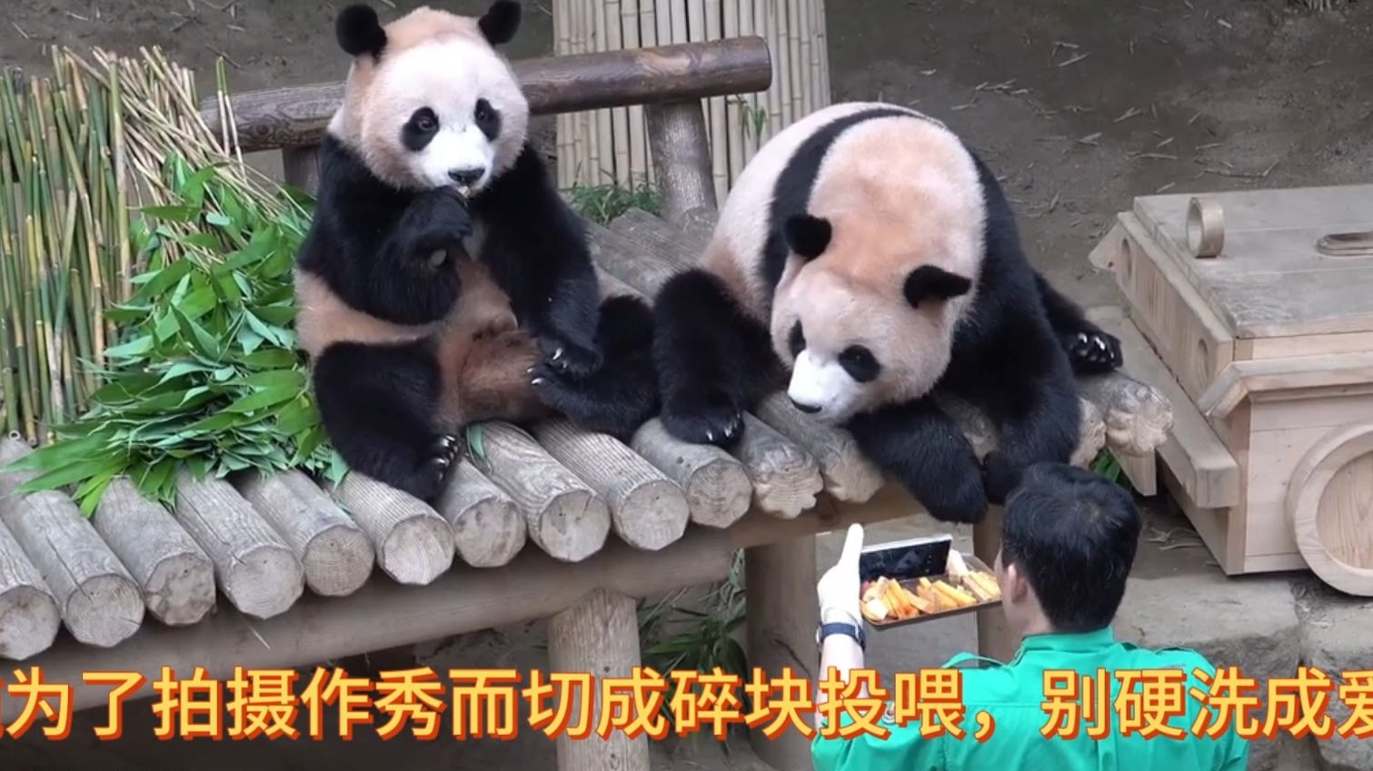 2028.8.20丨拍！拍！拍！这老登一拍摄起来就发狠了忘情了！