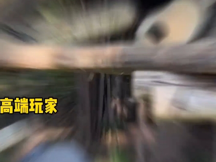 大意啦