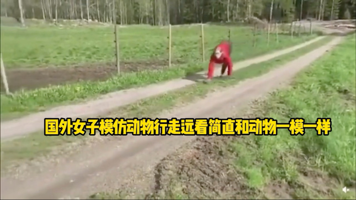 国外女子模仿动物行走远看简直和动物一模一样