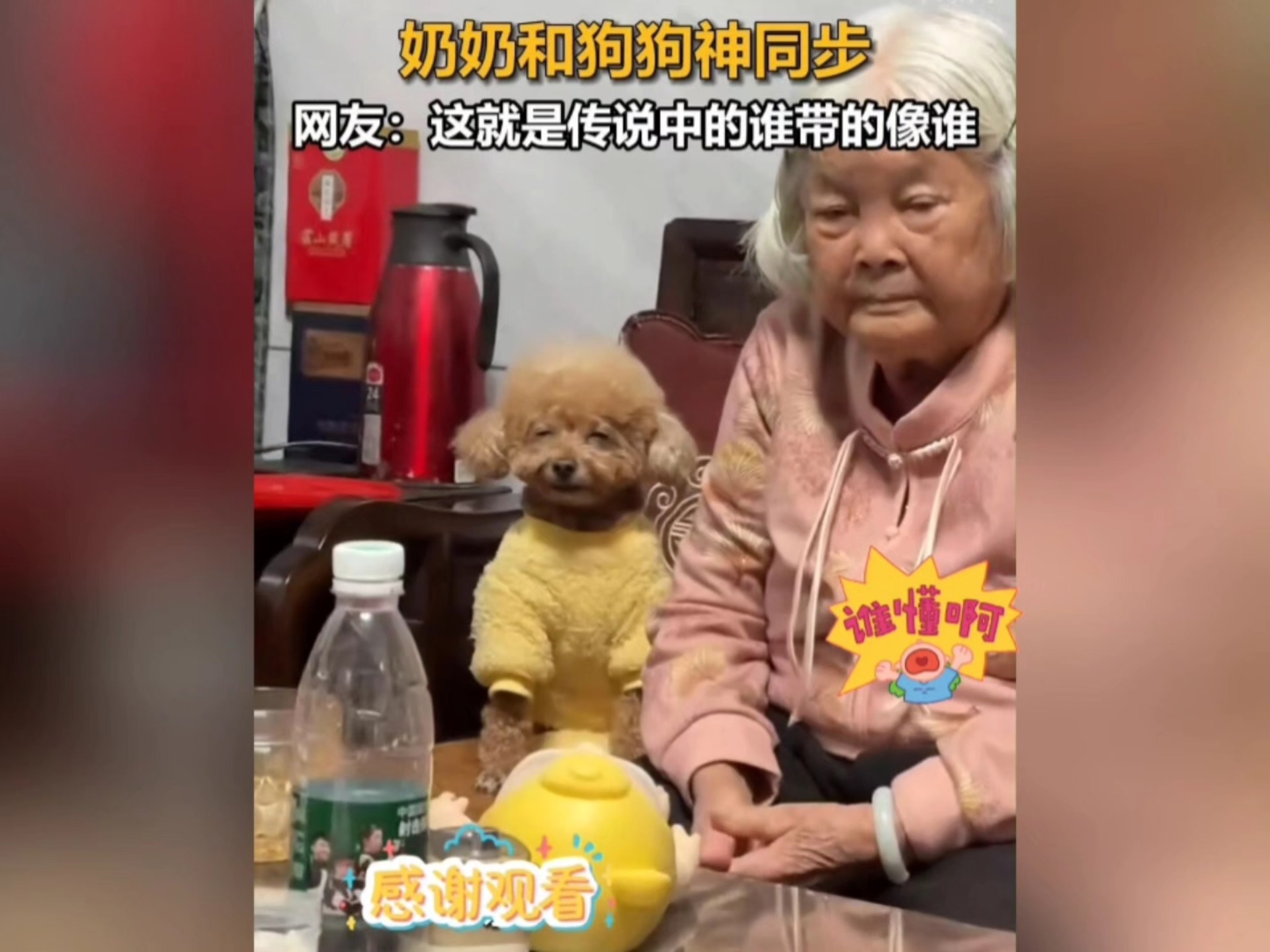 为什么动物养久了就会和主人越来越像