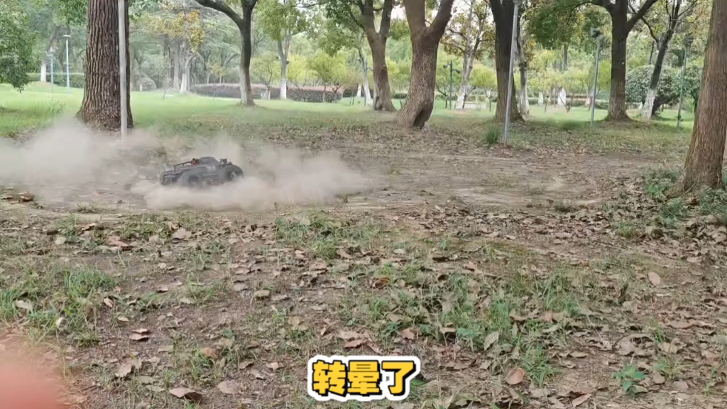 转晕了