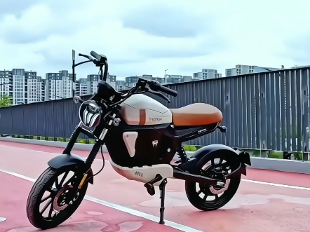 摩兽电动自行车 M03合金版 48V24Ah锂电池 免驾照可上牌智能