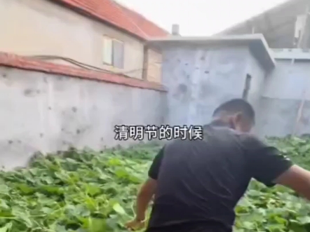 艺术不需要被定义