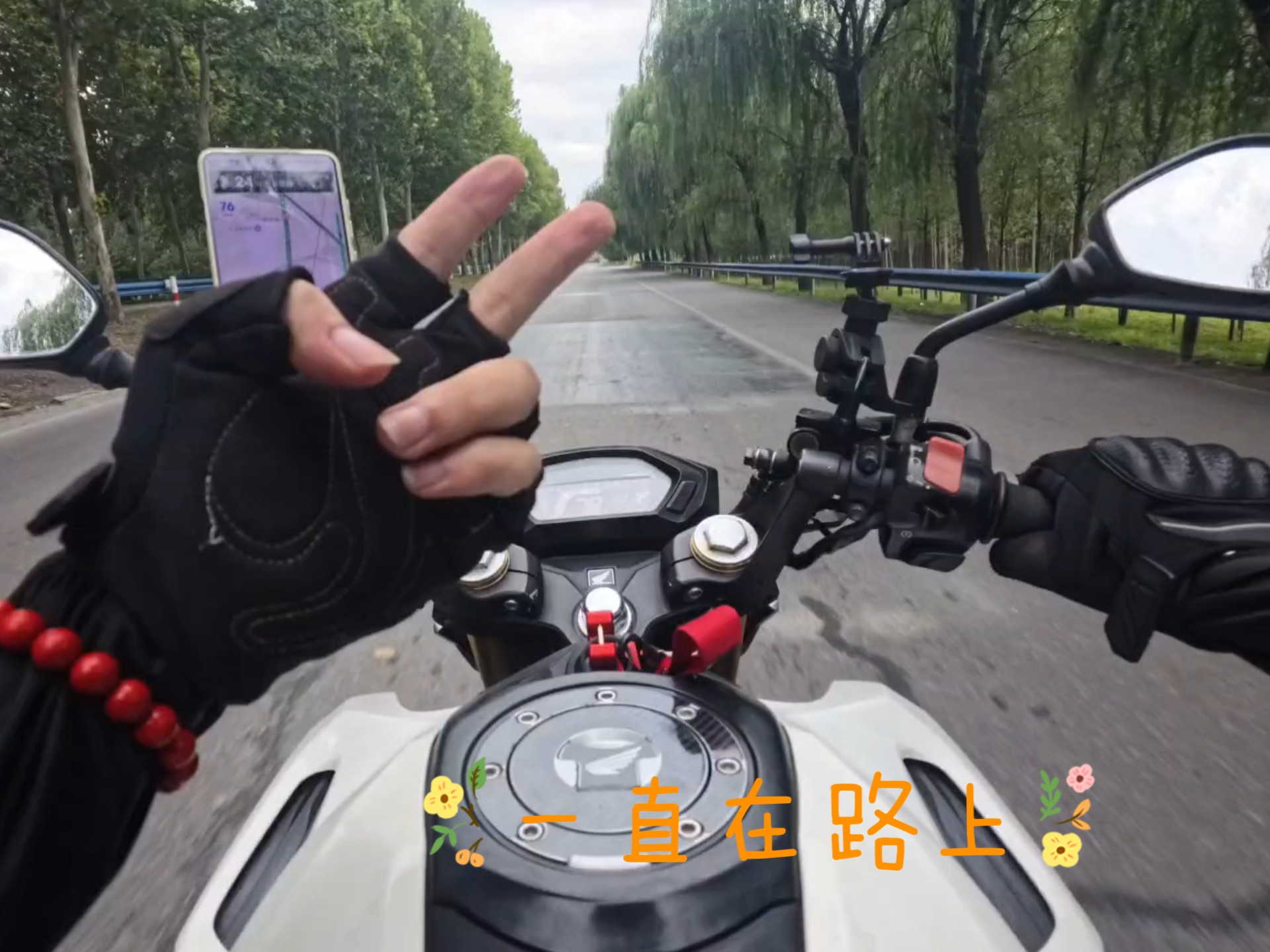 趁年轻疯狂一把