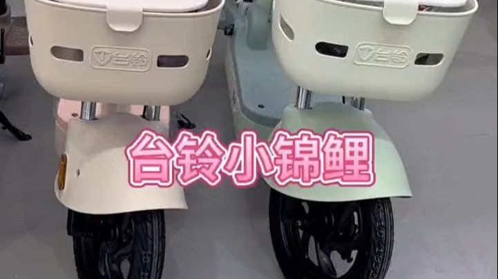 台铃电动车自行车小锦鲤，多彩配色，好看又实惠