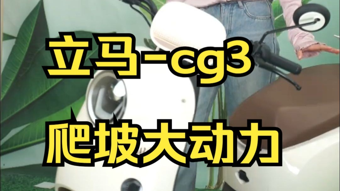 立马-cg3,爬坡大动力＿80公里长续航，超威品牌电池，出行无压力！