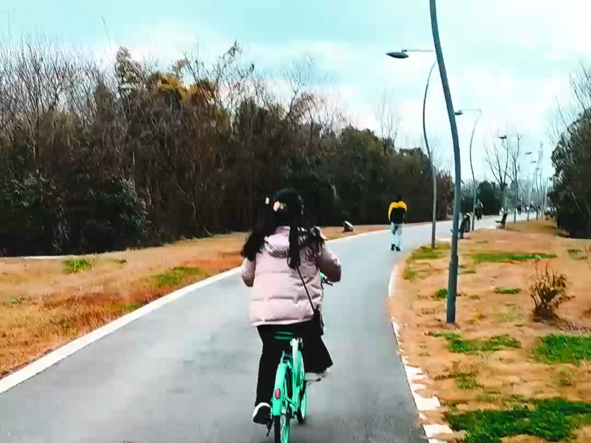 热烈的爱就像那秋明的红叶