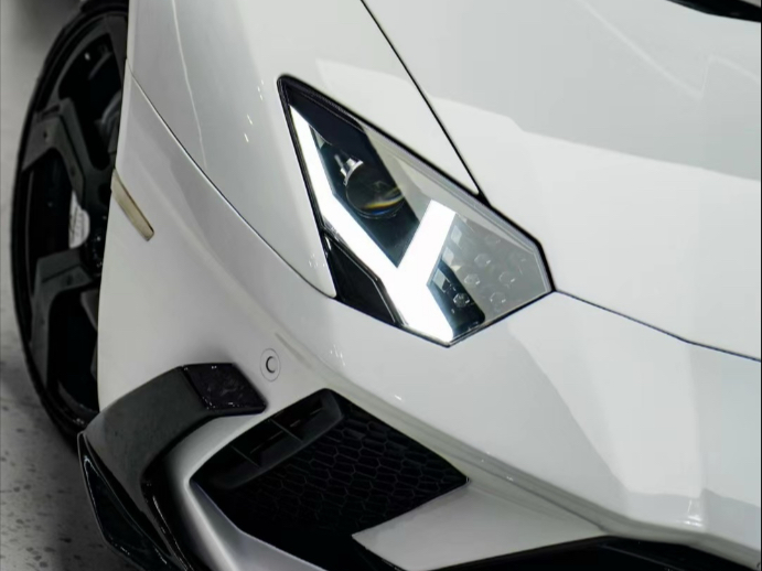 敝帚自珍 幡然来归