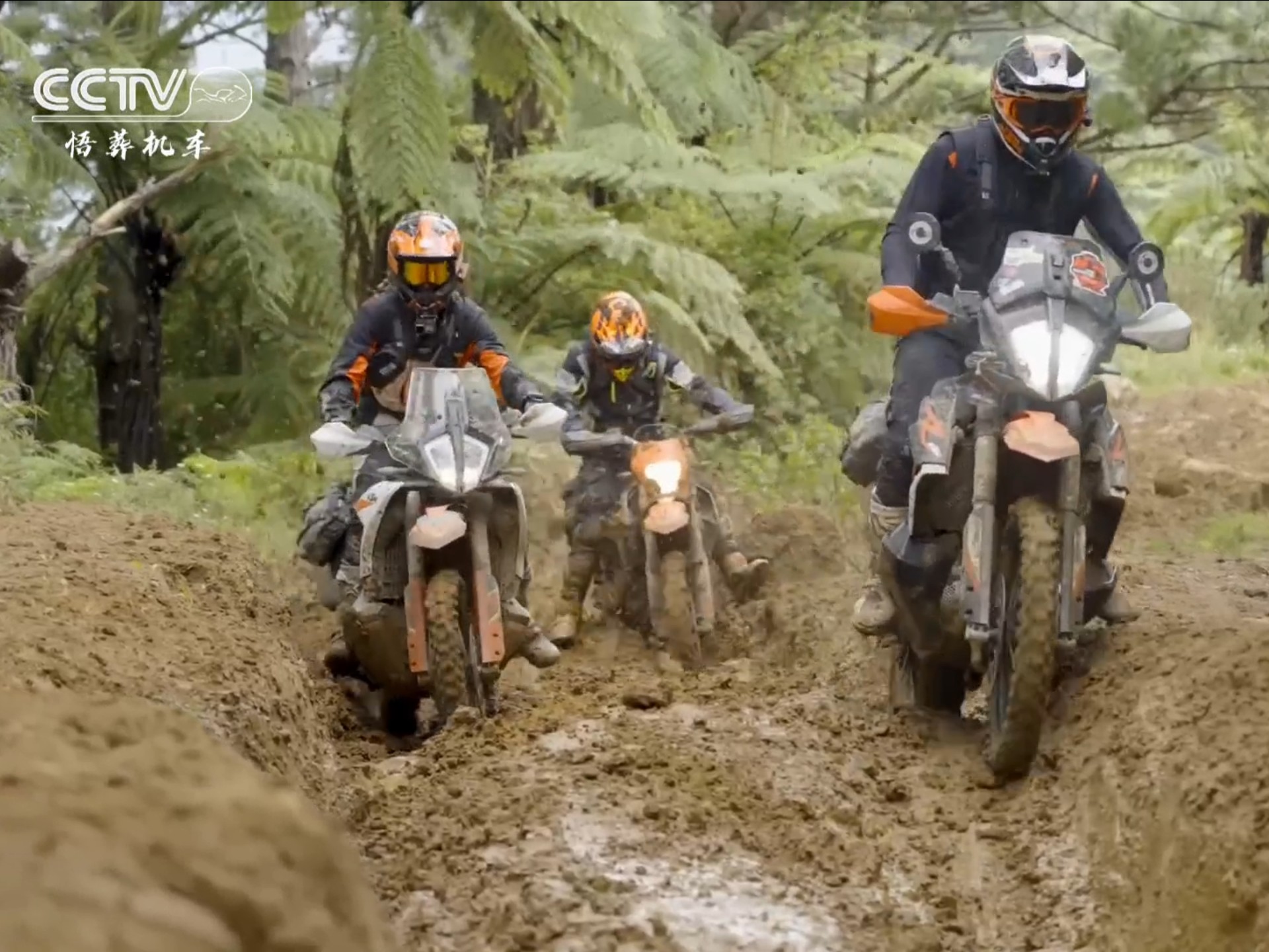 泥地、陡坡、乱石、深沟，字典里没有“绕行”二字。