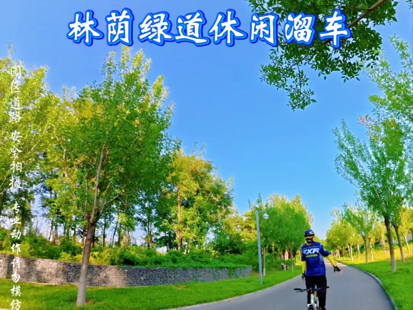 林荫道休闲骑行，站立撒把溜车！～