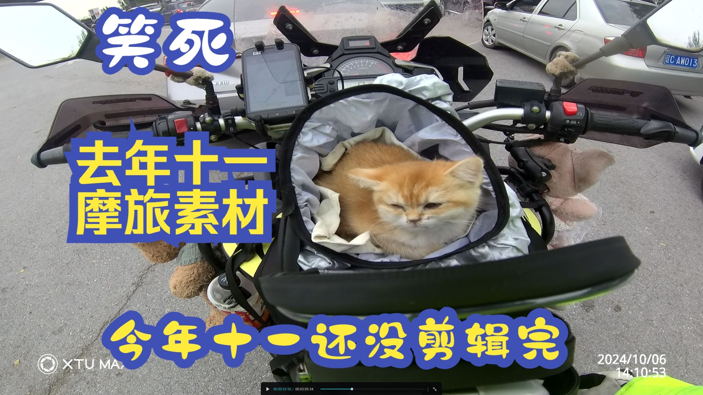 摩旅路上捡了一只猫