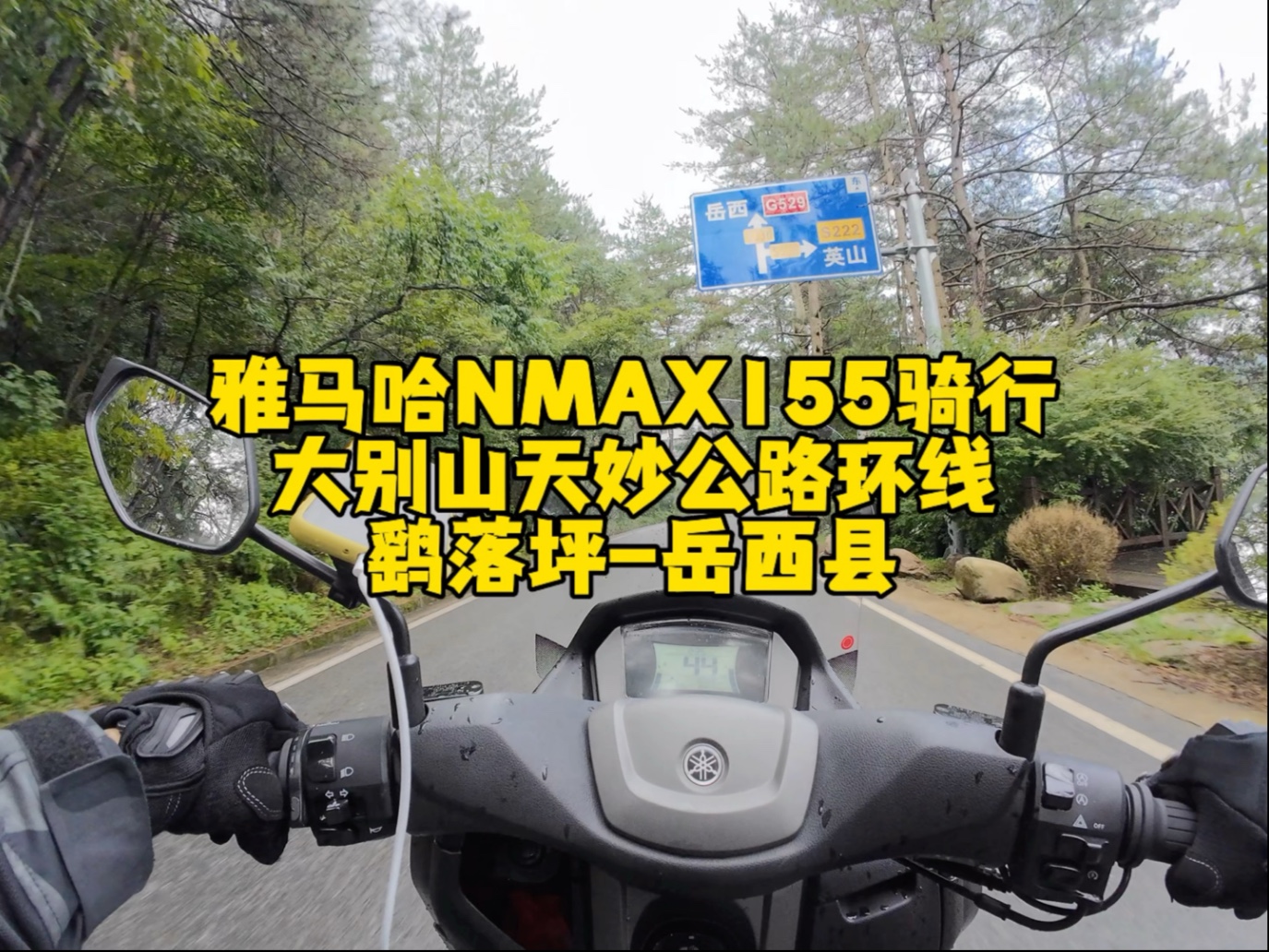 鹞落坪-岳西县