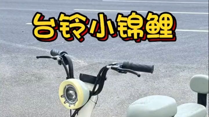台铃小锦鲤 极具性价比 高颜值小车车