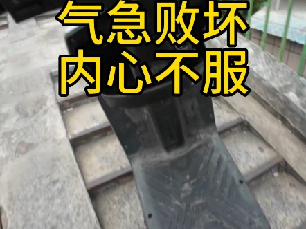 毋庸置疑 只教一遍