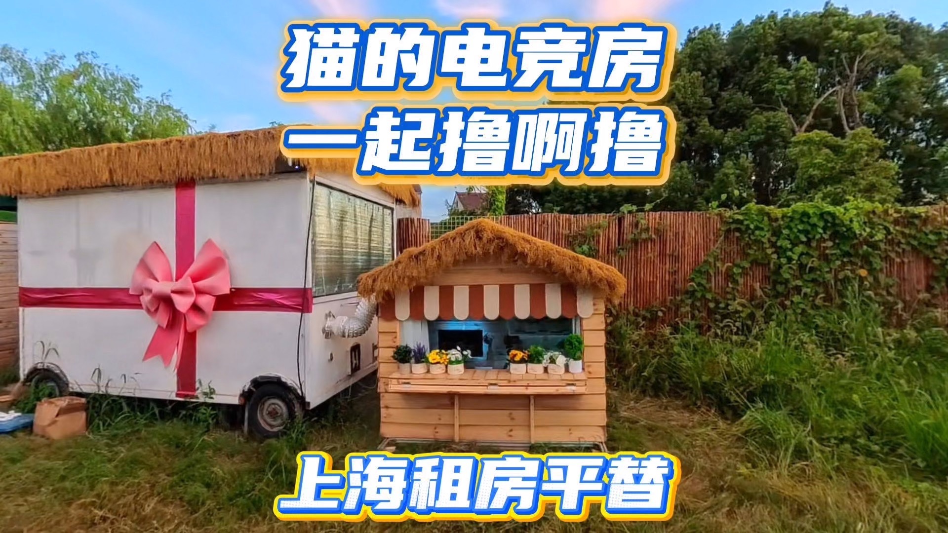 每月5000块房租不想交了，我想住猫窝