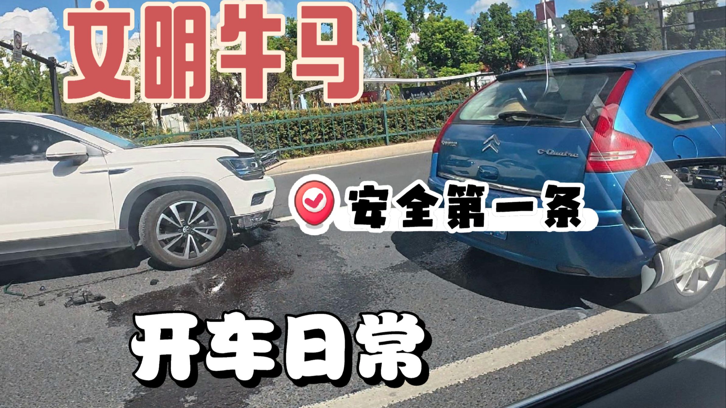 七夕取消！牛被撞了！