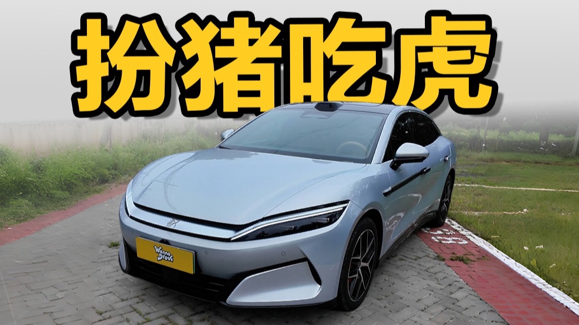 扮猪吃虎？汉L才是平民RS！