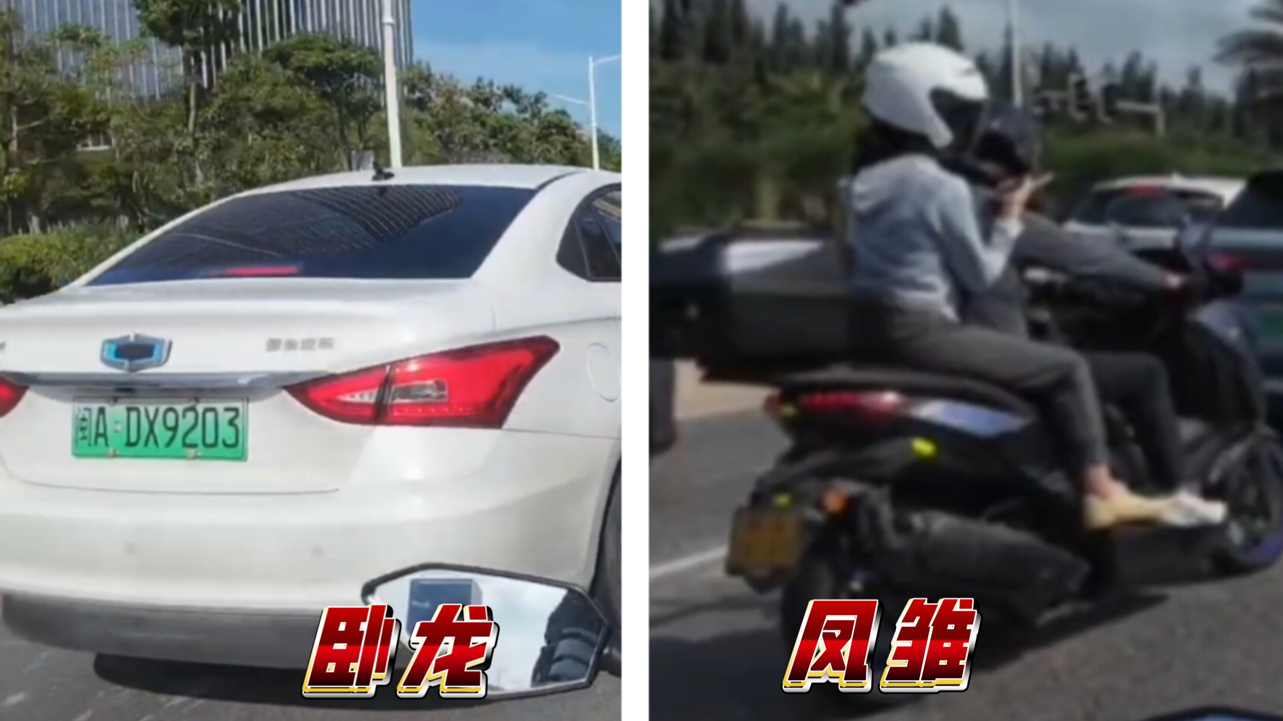 卧龙凤雏：怎么有人会在我家里开车