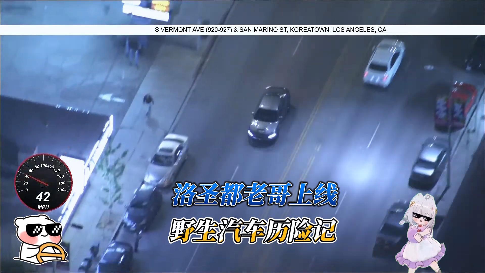 野生汽车历险记，再见洛圣都老哥
