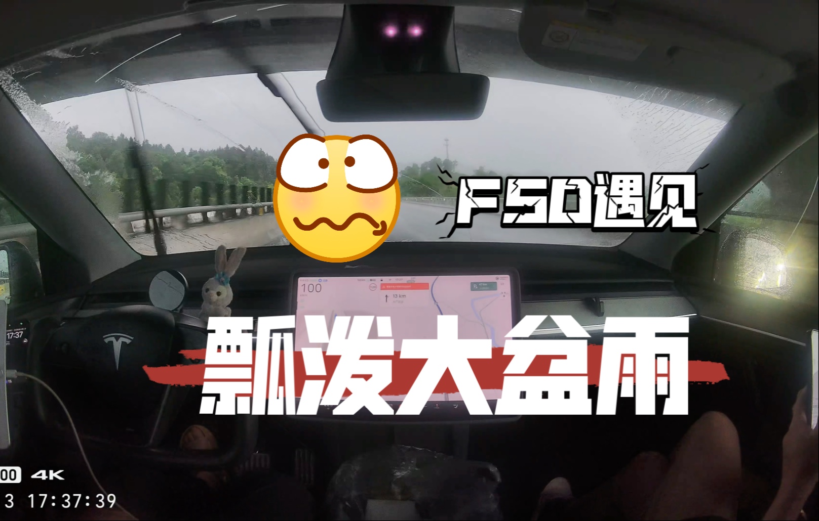 我的FSD遇见了瓢泼大盆雨