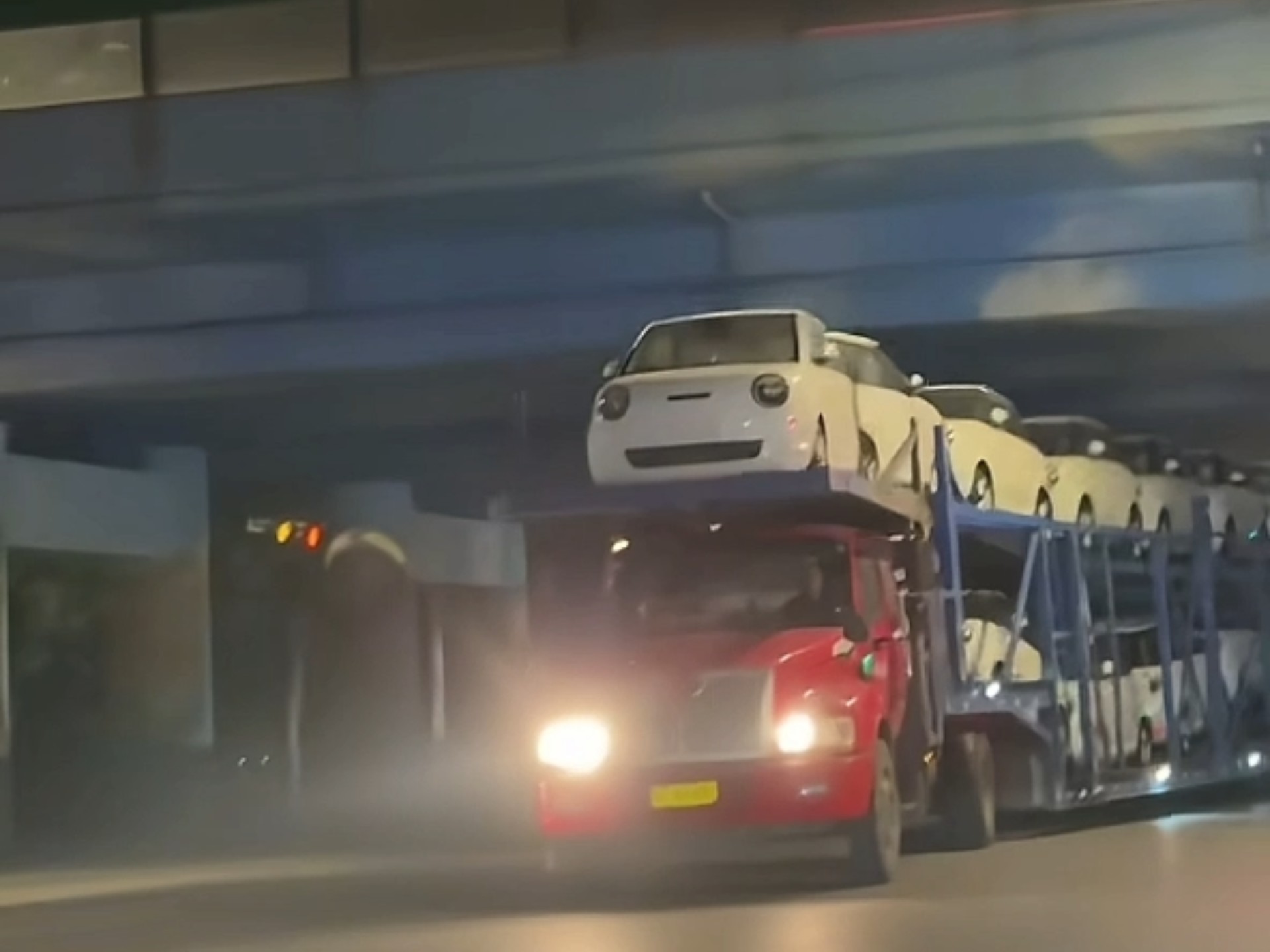 糯玉米军团接收检阅