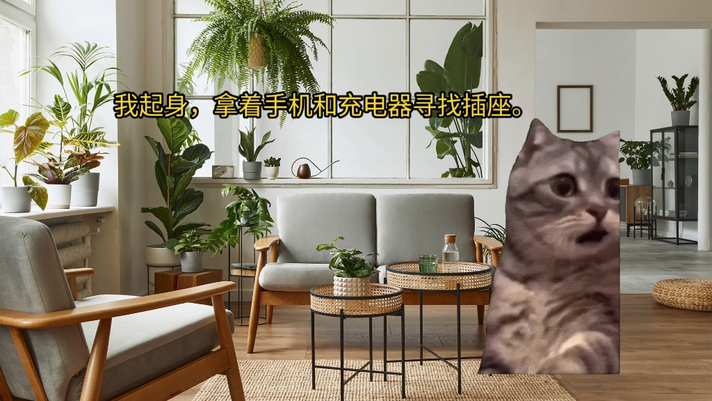 猫meme