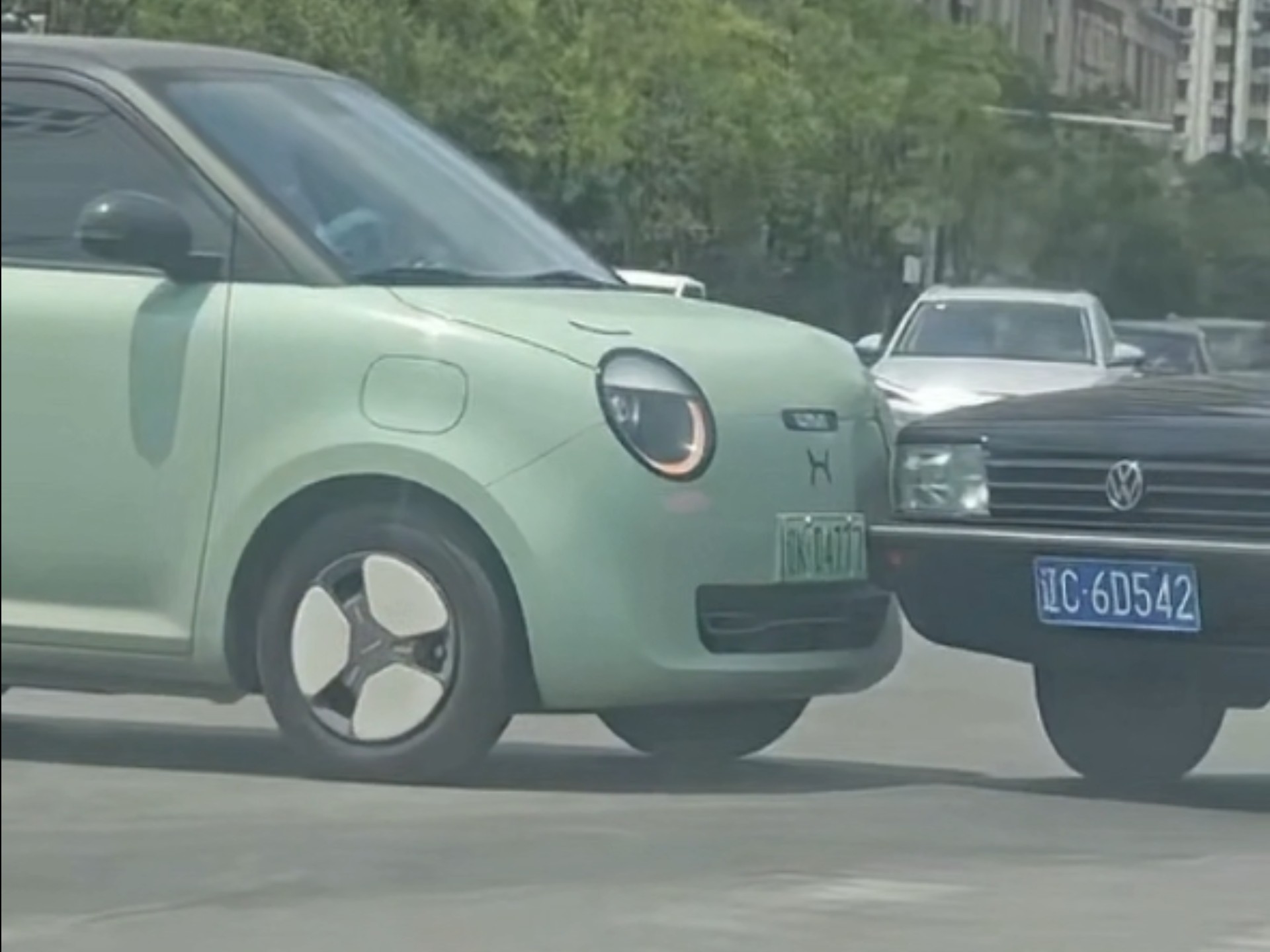 哦呵，这下遇到硬茬了#长安糯玉米