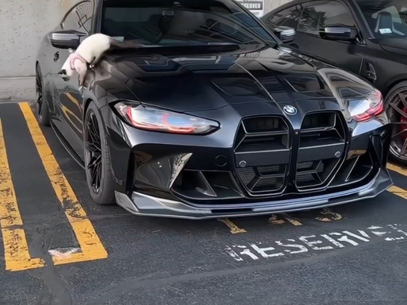 在别人的世界里客串，在自己的故事里迷路。