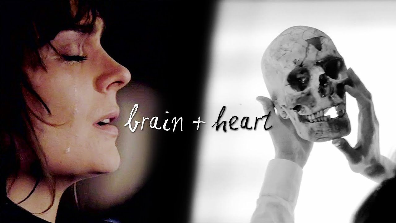 【识骨寻踪】【Temperance Brennan】Brain and Heart