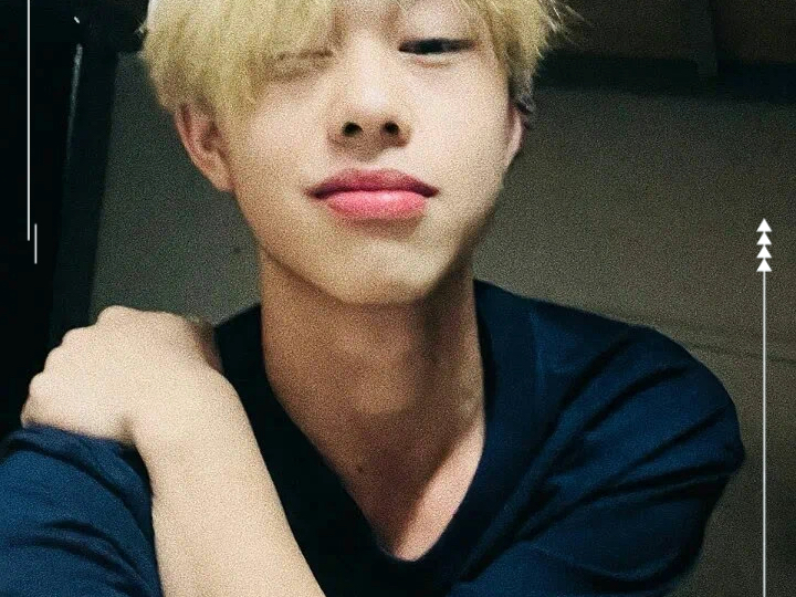 星垂平野，你是我来往暮雪间的云