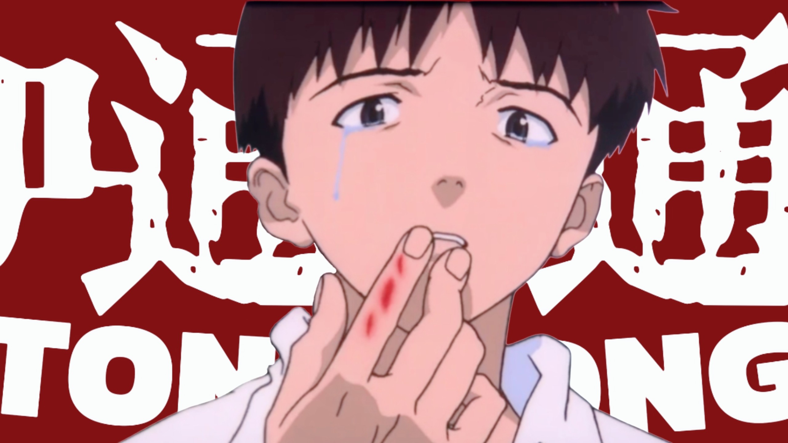 【EVA·MAD】“嗵嗵”【1995-2025】