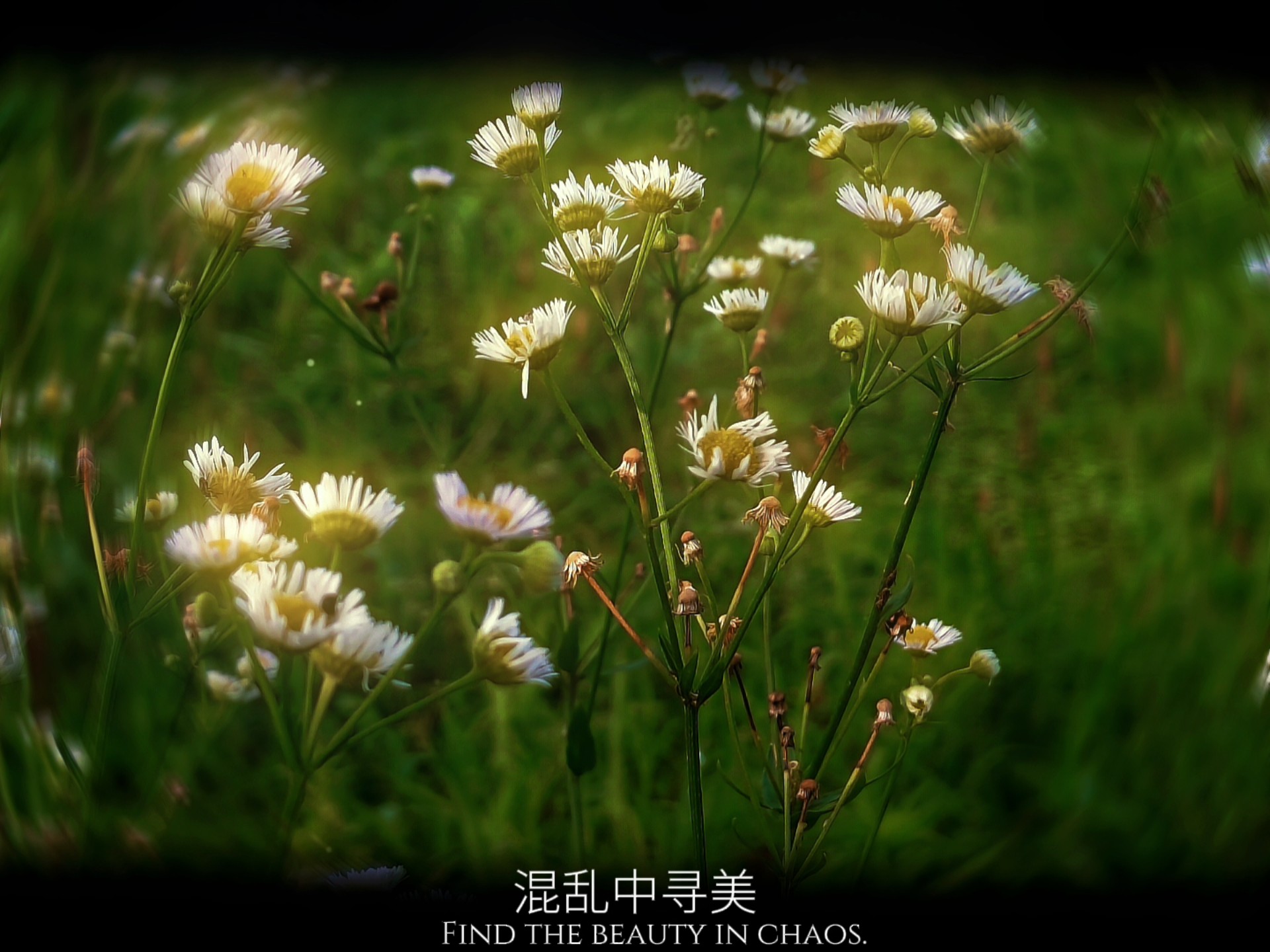 时间就像一支离弦的箭