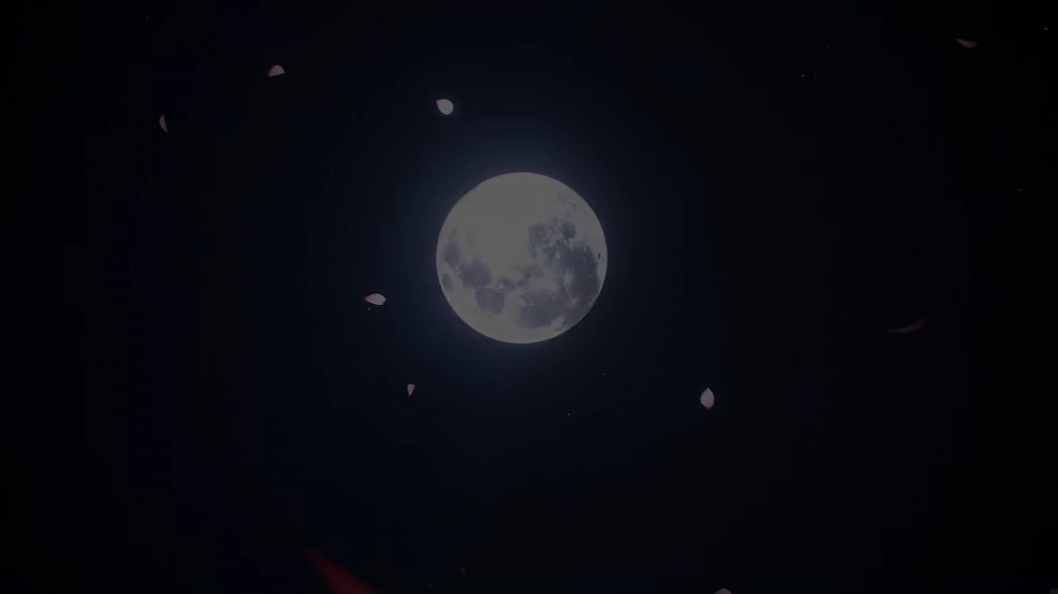 这一箭，射落虚伪的星辰。