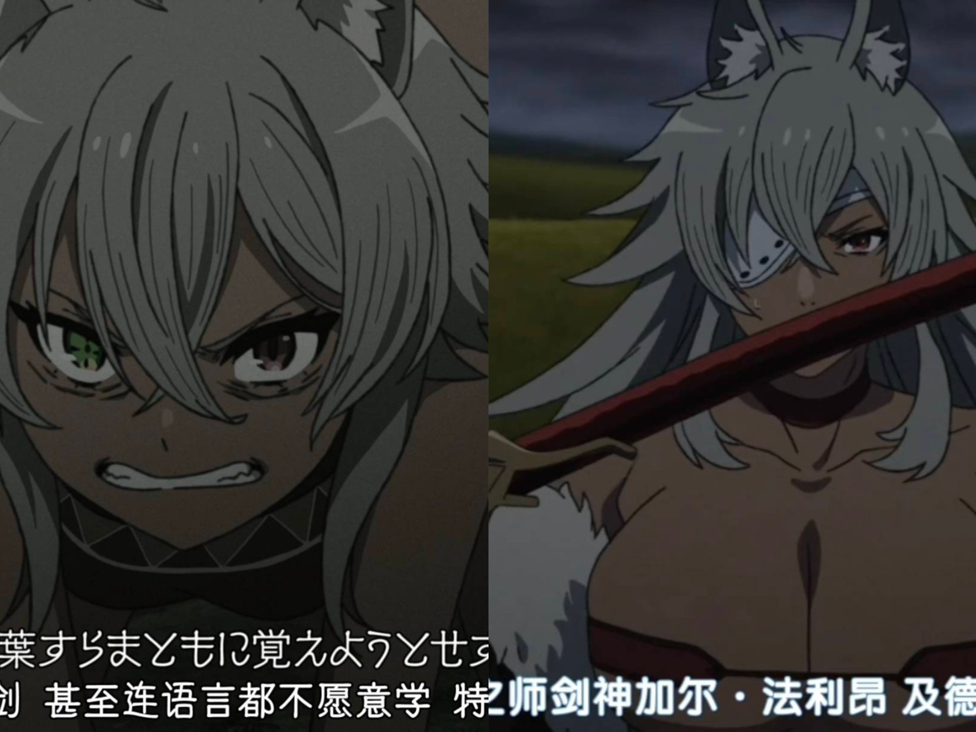 剑王基列奴的剧情:保罗的第三把剑鞘！被剑神养歪了，从野兽变成