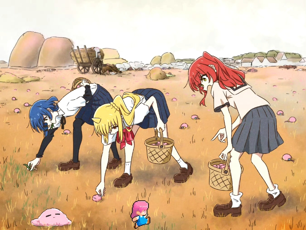 又是波奇酱丰收的季节！