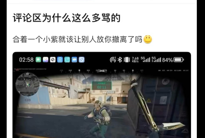 评论区为什么这么多骂的，合着一个小紫就该让别人放你撤离了吗