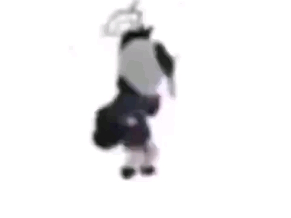 佳代子厨们有福了