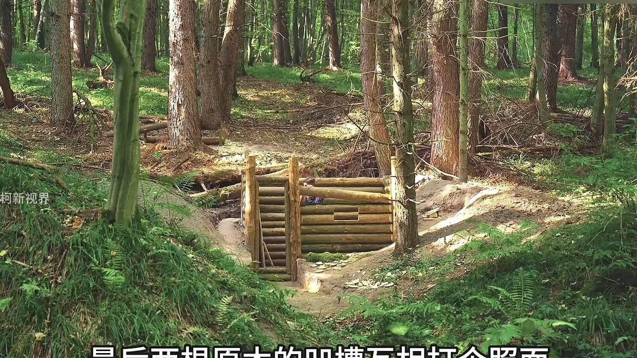 “谁能拒绝失眠的时候看一集25分钟的解压荒野建造，看完保证让