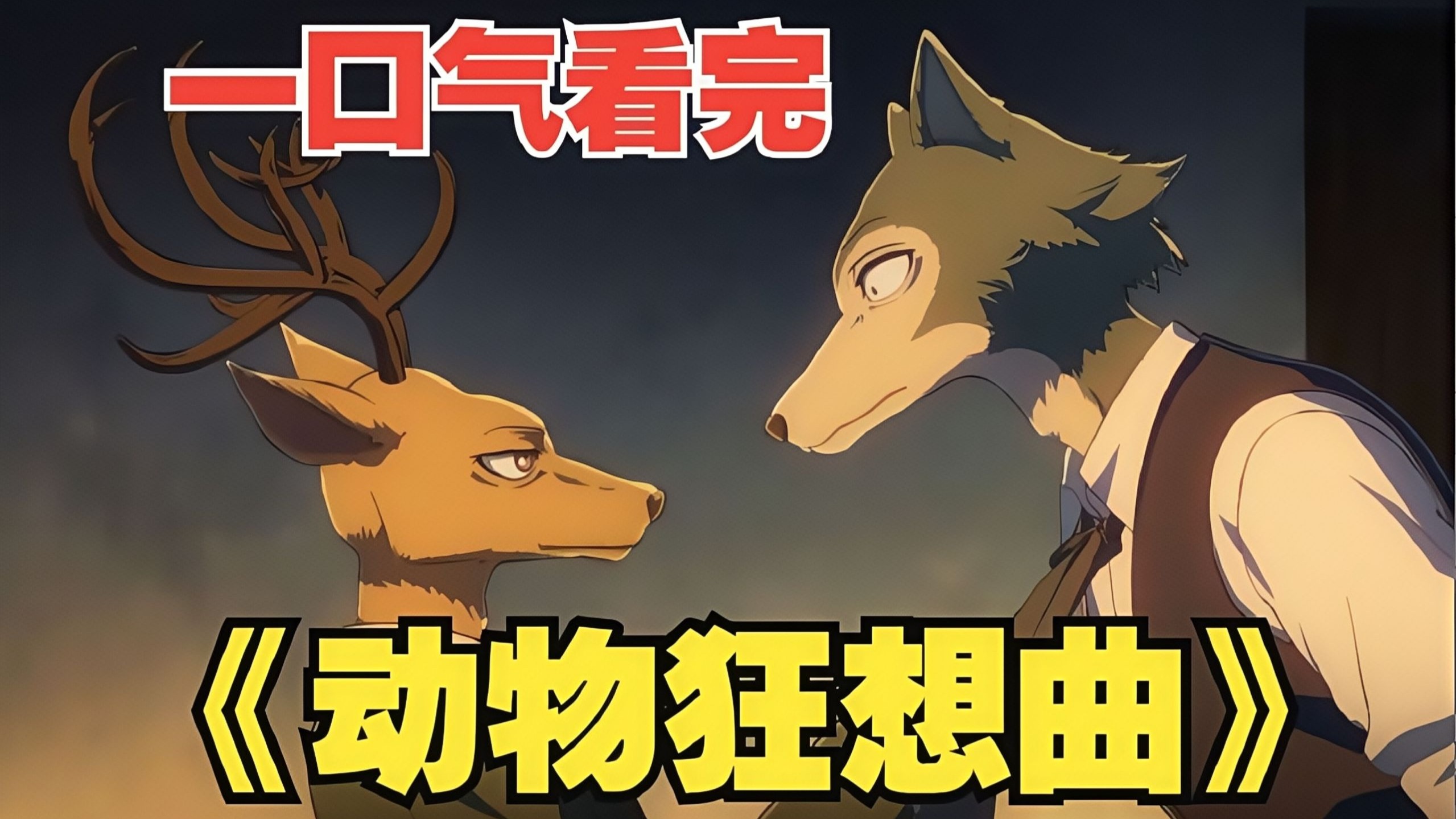 一口气看完《动物狂想曲》我要变得更强，因为我不想输给这个社
