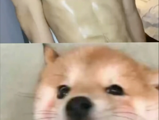 高弹腹肌体育生体能测试
