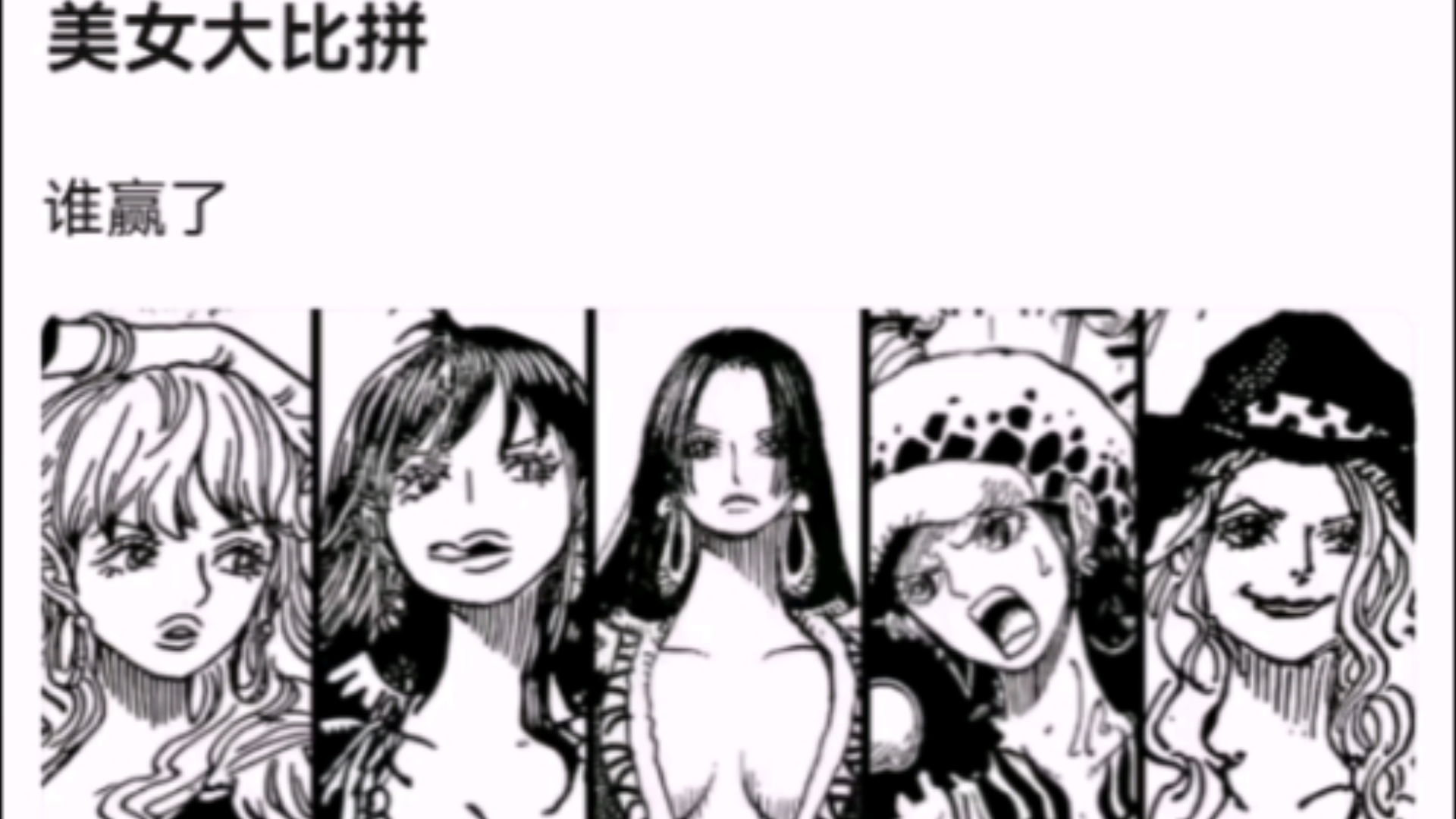 美女大比拼【海贼王】