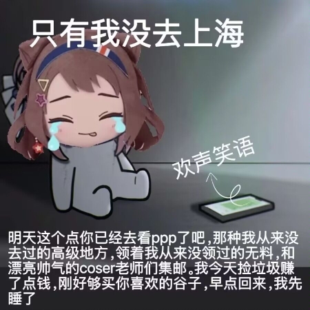 去上海看ppp演唱会