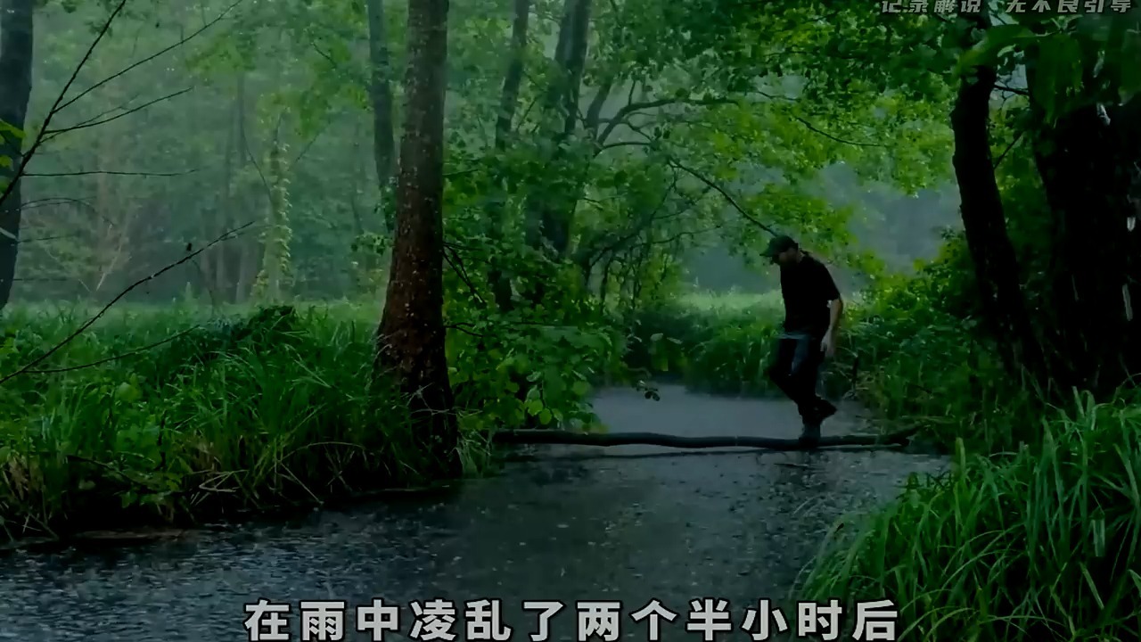 当你晚上刷到这个视频时，希望臭宝们能一觉到天亮！#荒野建造 #
