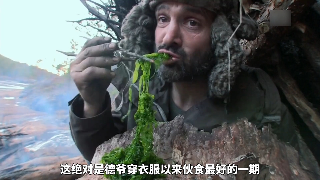 德爷挪威极圈荒野求生，吃海藻贻贝象拔蚌，轻松实现蛋白质自由