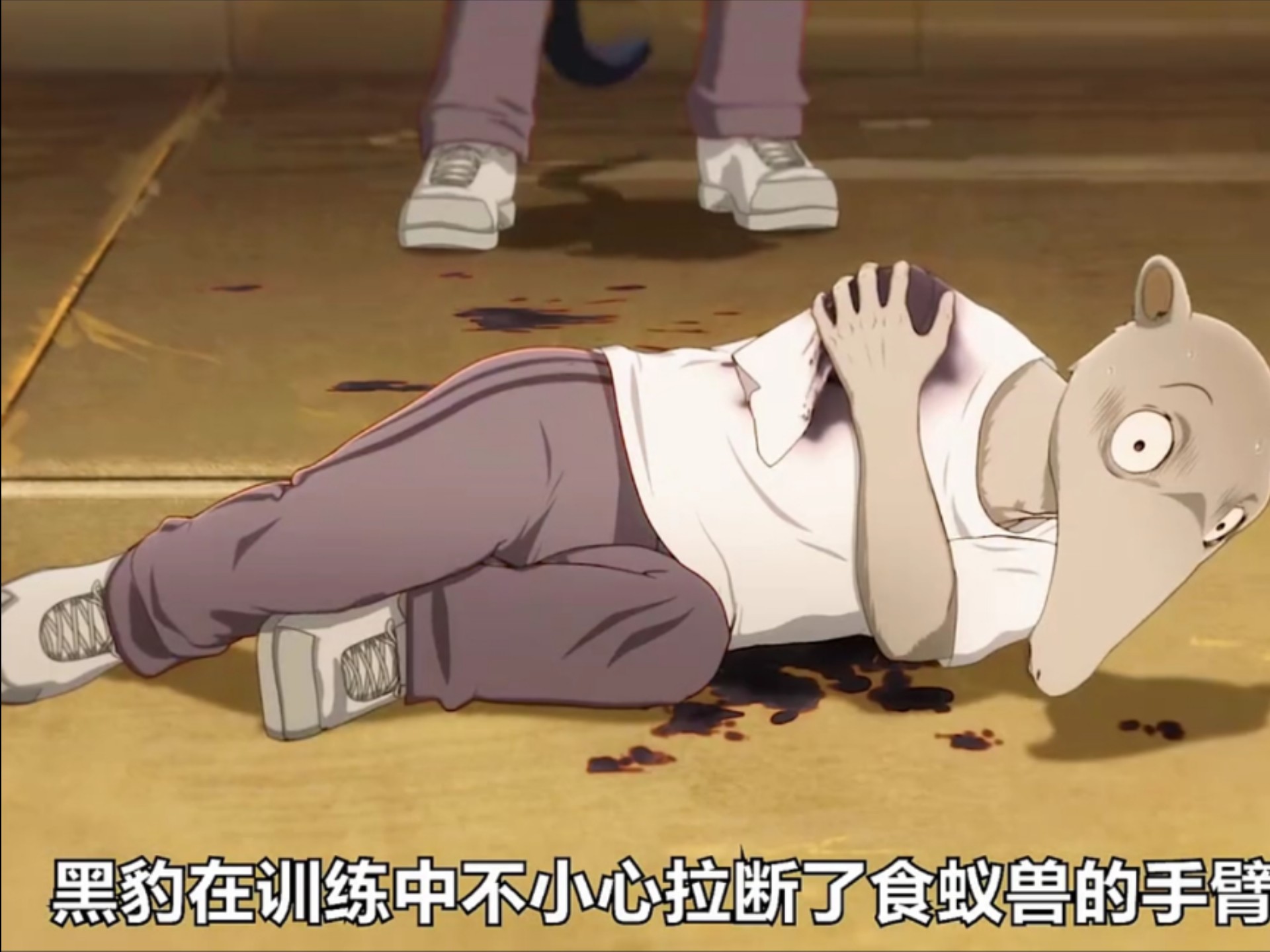 黑豹在训练在不小心拉断了食蚁兽的手臂，秃鹫见此马上让所有的