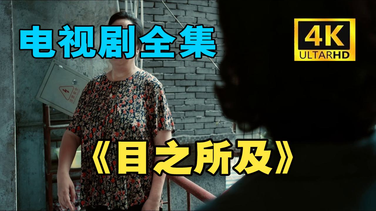 目之所及   完#版 （1-16集）全#集