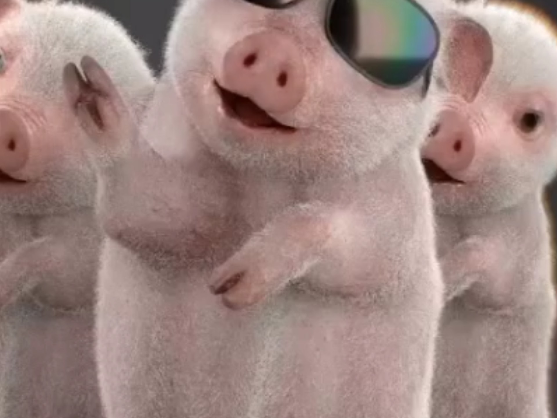 古代遗留神秘短片。