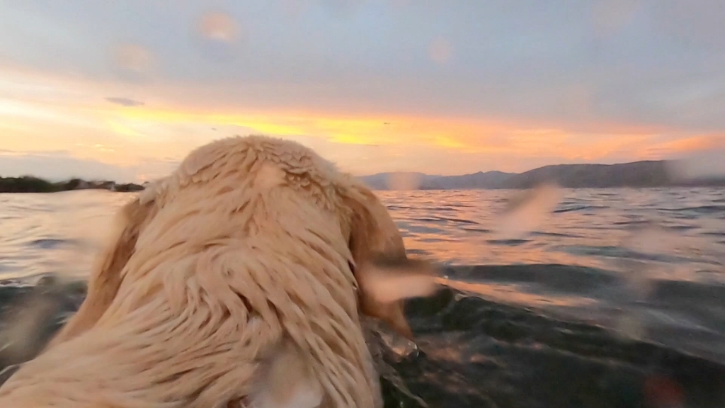 上职高几乎跟傻逼没什么区别